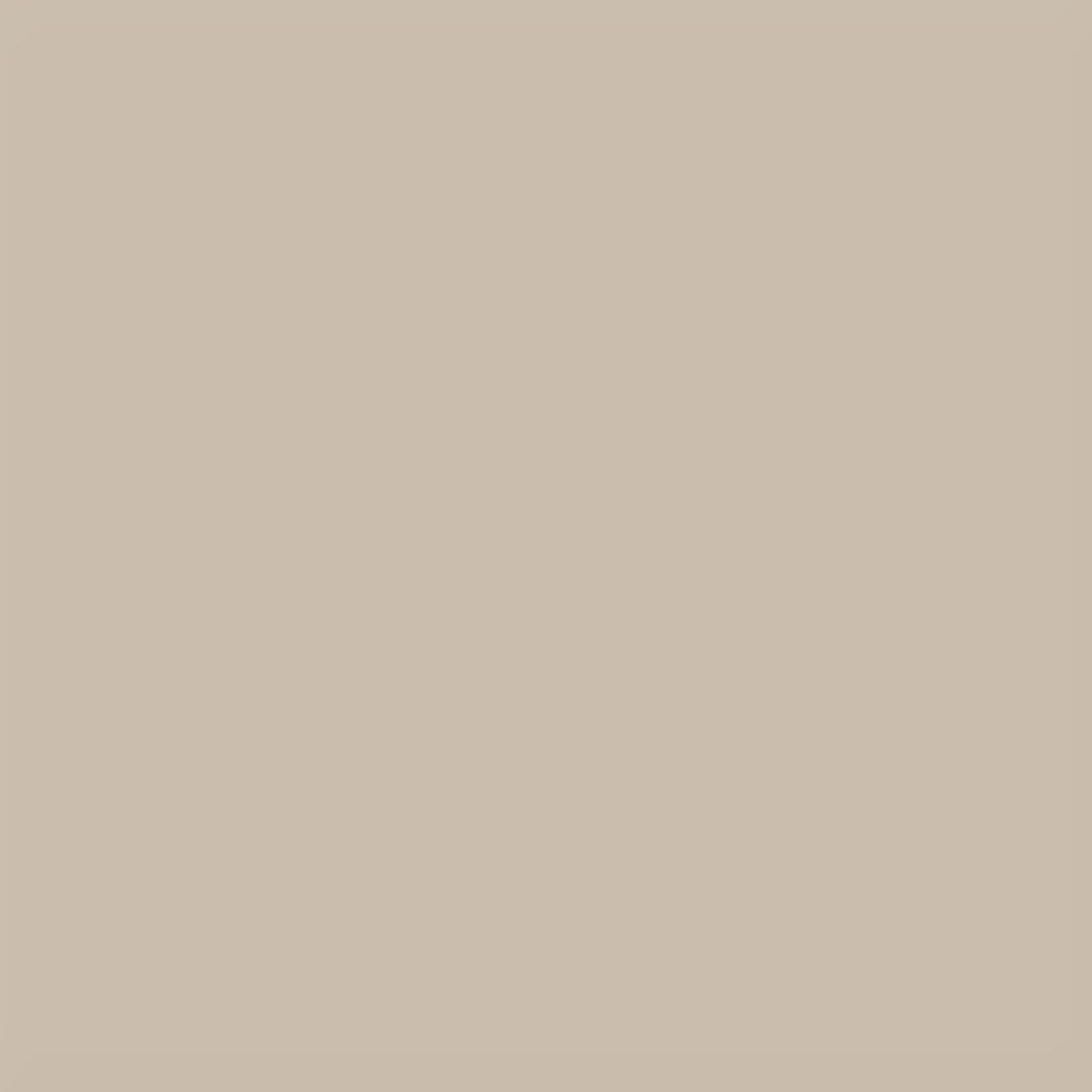 resizeplus sand dollar